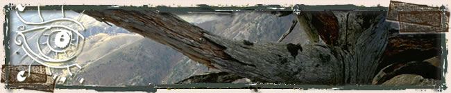 www.ignaziogrecu.com - Supramonte...
